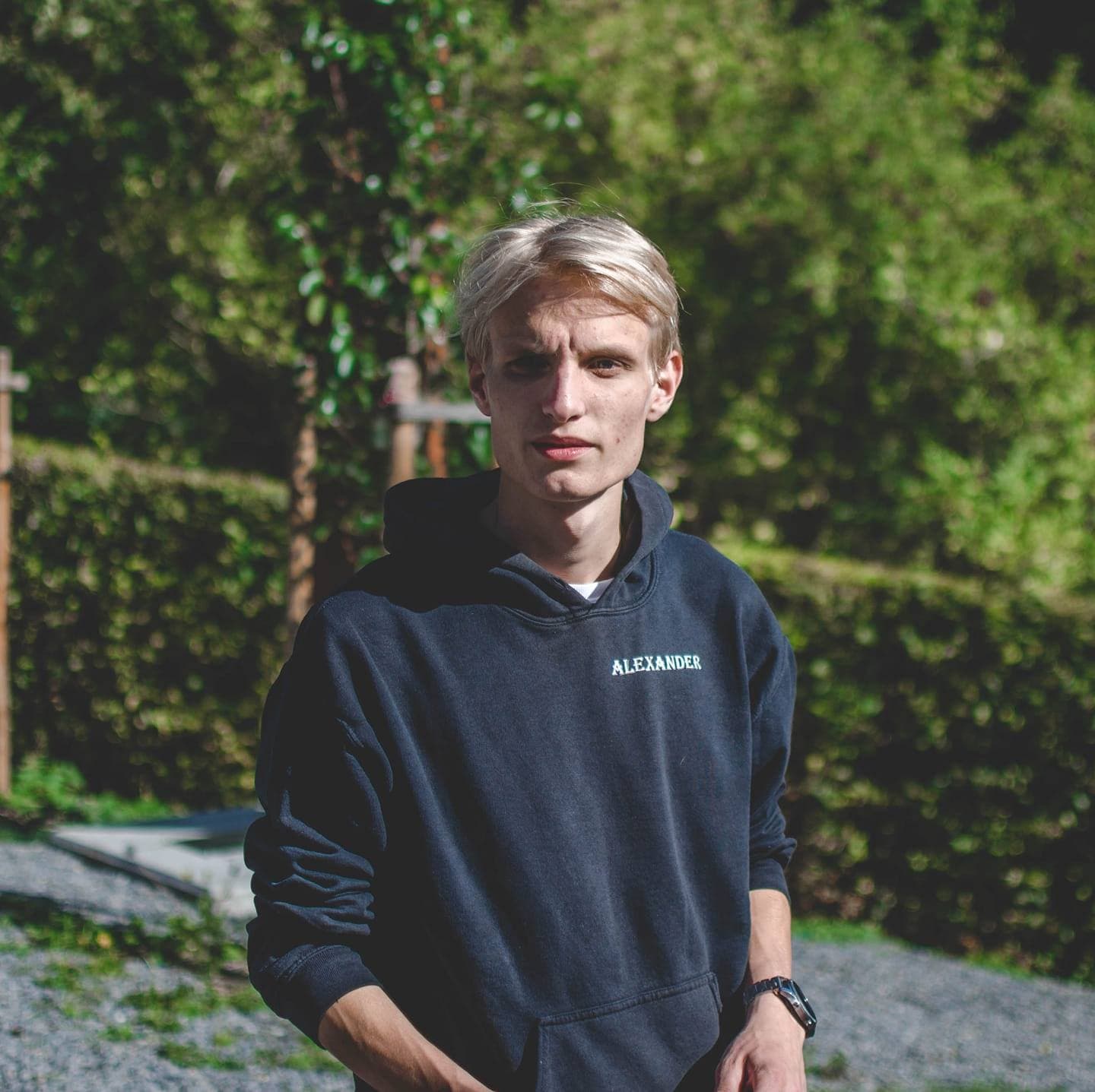 A picture of Alexander